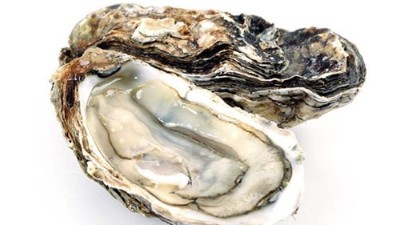 蛋白肽與男性功能有哪些關(guān)聯(lián)？