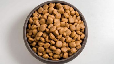 貓糧風味劑的生產(chǎn)如何選擇酶制劑？