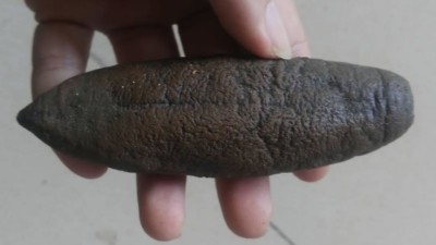 海參外皮怎么處理干凈，使用木瓜蛋白酶還是復(fù)合酶呢
