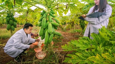 酶制劑公司排名：哪個廠家在食品、飼料、工業(yè)領(lǐng)域拔得頭籌