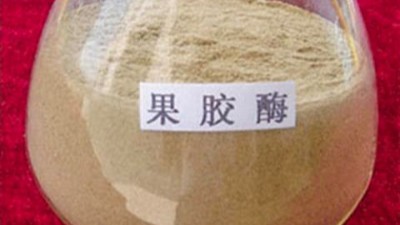 果膠酶的作用原理，正確使用方法與用量