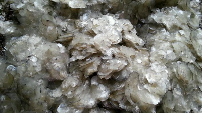 堿性蛋白酶酶解魚鱗制備膠原蛋白多肽，成品有沉淀？