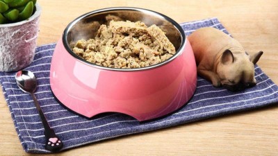 牛肉蛋白質(zhì)酶解制備寵物誘食劑，如何選酶？