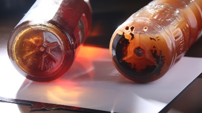 酒曲與酶制劑有什么區(qū)別？兩個可以同時使用嗎？