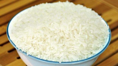 制取大米蛋白肽，需要用到的酶制劑有哪些？