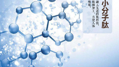 關(guān)于蛋白質(zhì)與蛋白肽的區(qū)別，您有了解多少？
