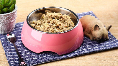 木瓜蛋白酶酶解牛肉生產(chǎn)寵物誘食劑的關(guān)鍵控制點(diǎn)是什么？