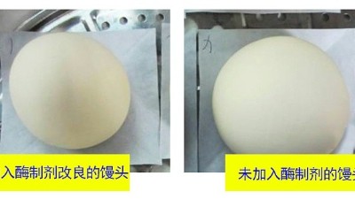 一文詳解面包酶制劑有什么作用？