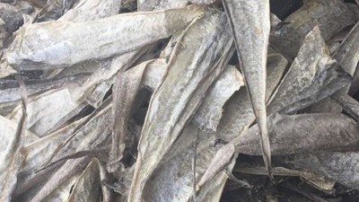 水解魚(yú)皮做膠原蛋白肽有苦味，風(fēng)味酶能去除苦味嗎？